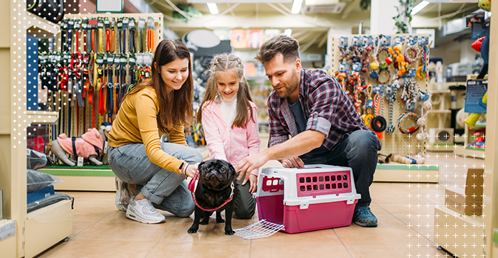 Seguro-para-pet-shops-oferece-protecao-para-empresarios-e-clientes-1